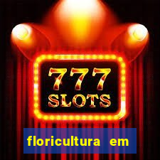 floricultura em porto alegre